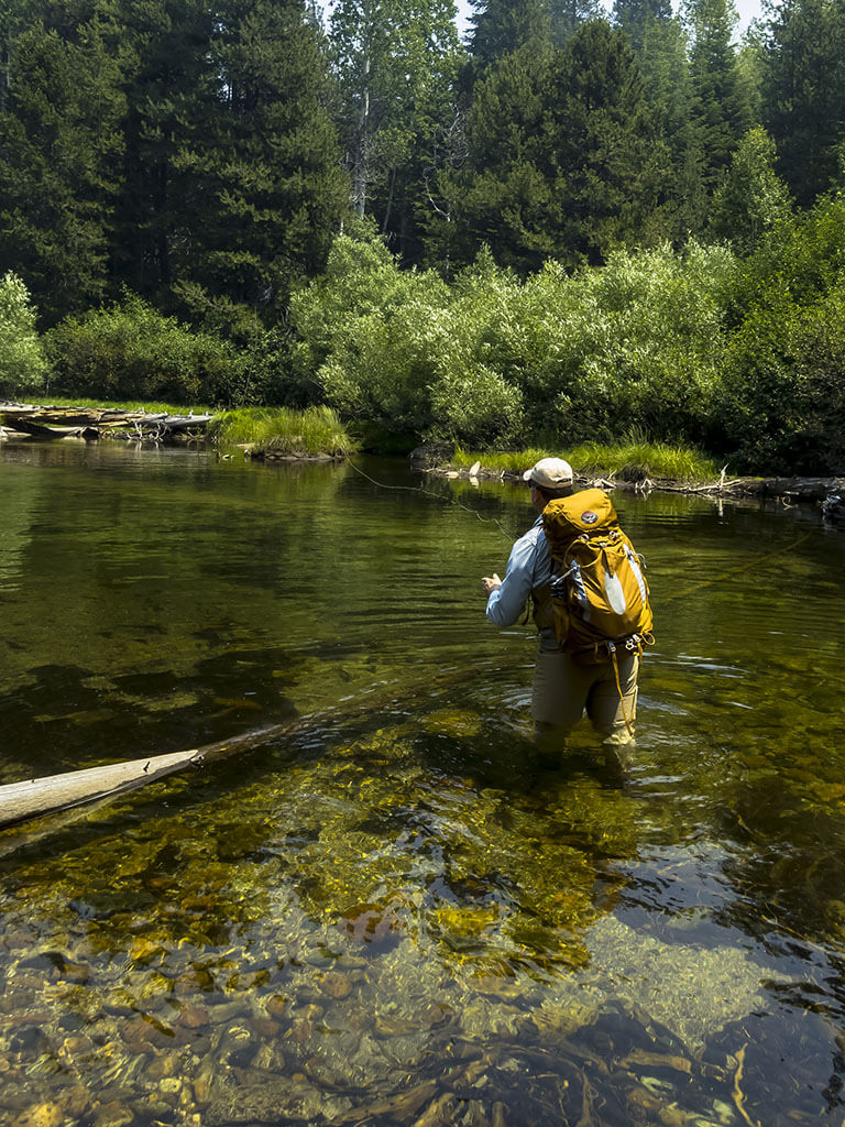 Ultralight Fly Fishing • Bear Creek 2015 (photo heavy)